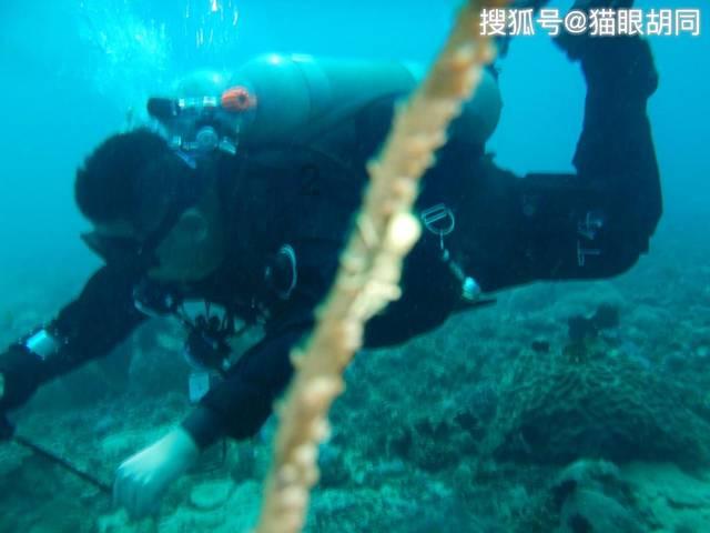 冰箱不结冰怎么办？